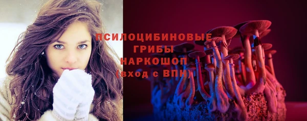 дживик Богородицк