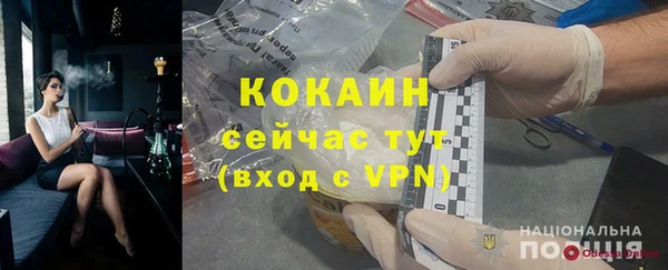 дживик Богородицк