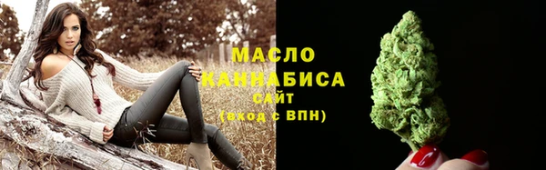 молекула духа Богородск