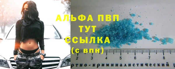молекула духа Богородск