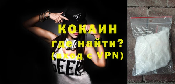 дживик Богородицк