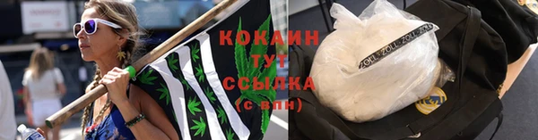 первитин Богданович