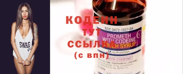 дживик Богородицк