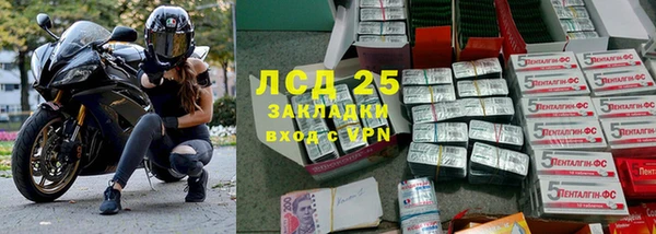 индика Верхний Тагил