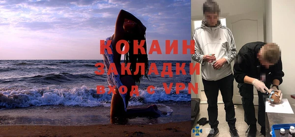 первитин Богданович