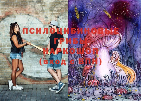 дживик Богородицк