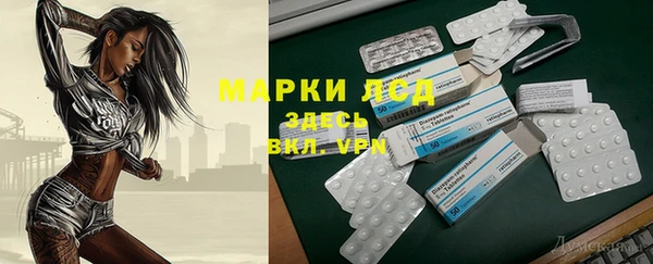 крисы Покачи