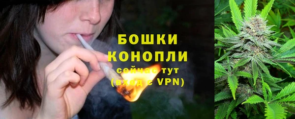 первитин Богданович