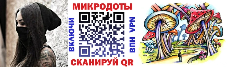 Галлюциногенные грибы Psilocybine cubensis  Велиж 